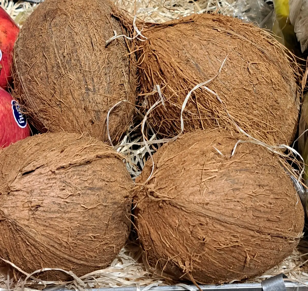 Noix de coco /pièce