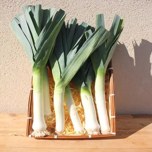 Poirreaux 2.95€ le kilo