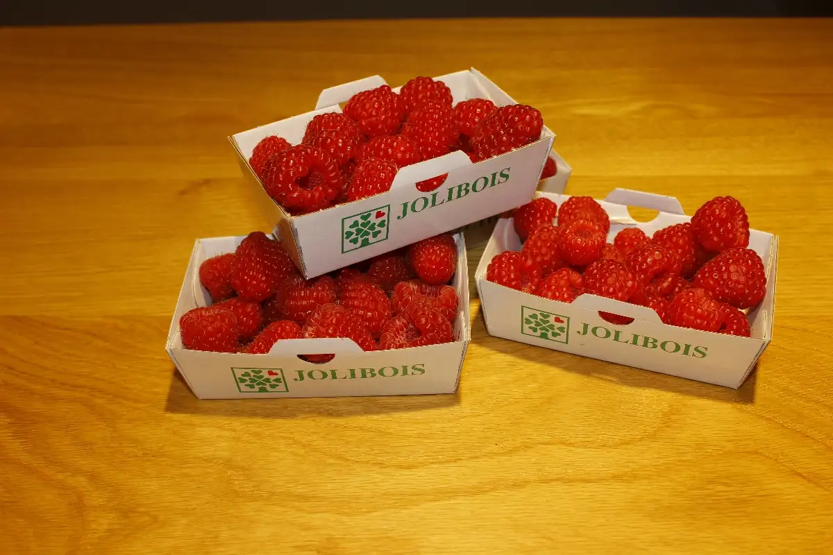 Barquette de framboise 125 g