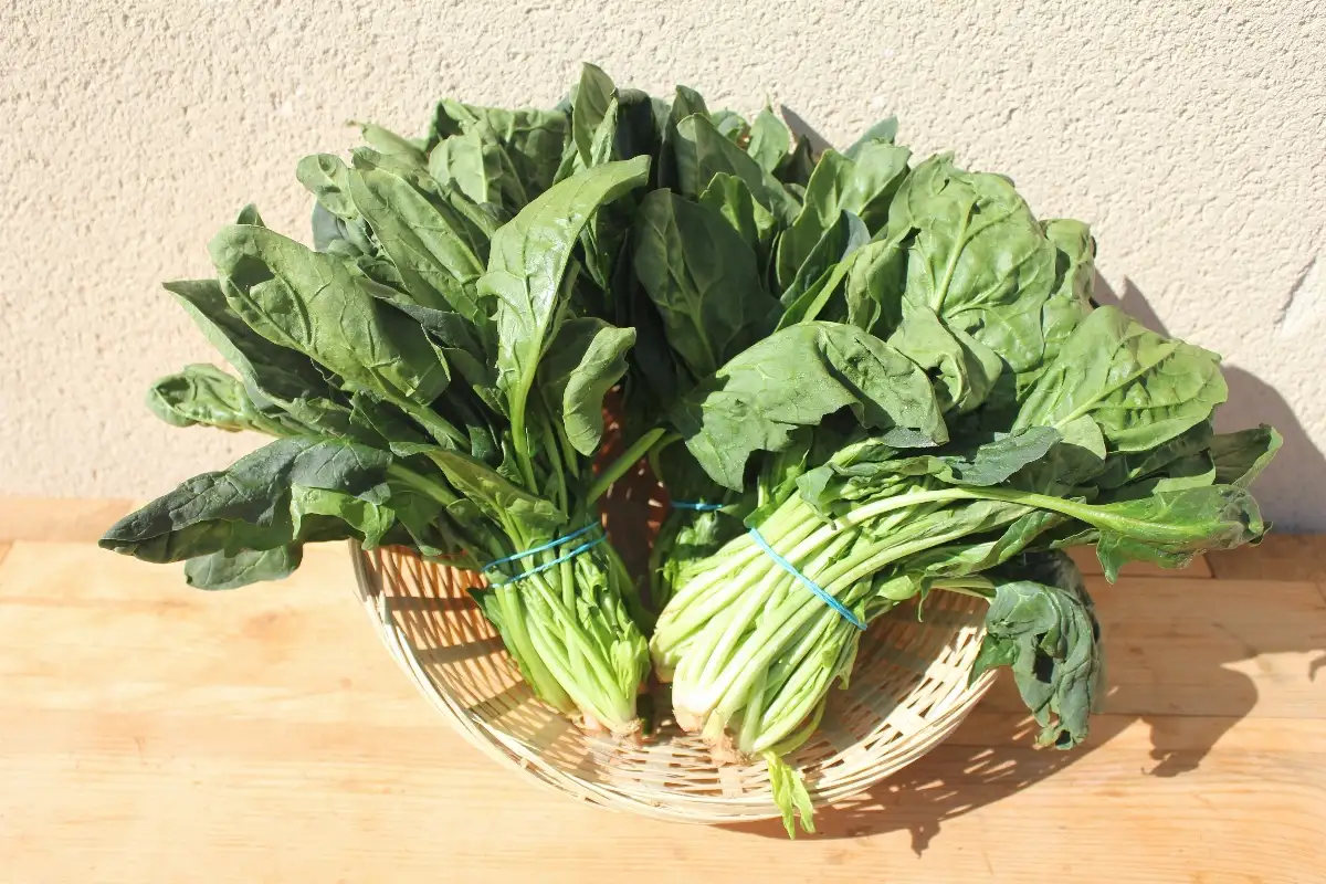 Epinards en bottes
