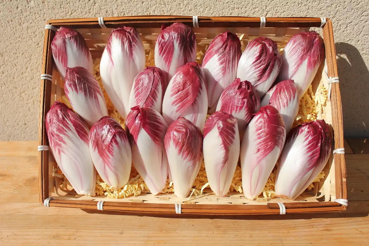 Carmine 12.90 le kilo