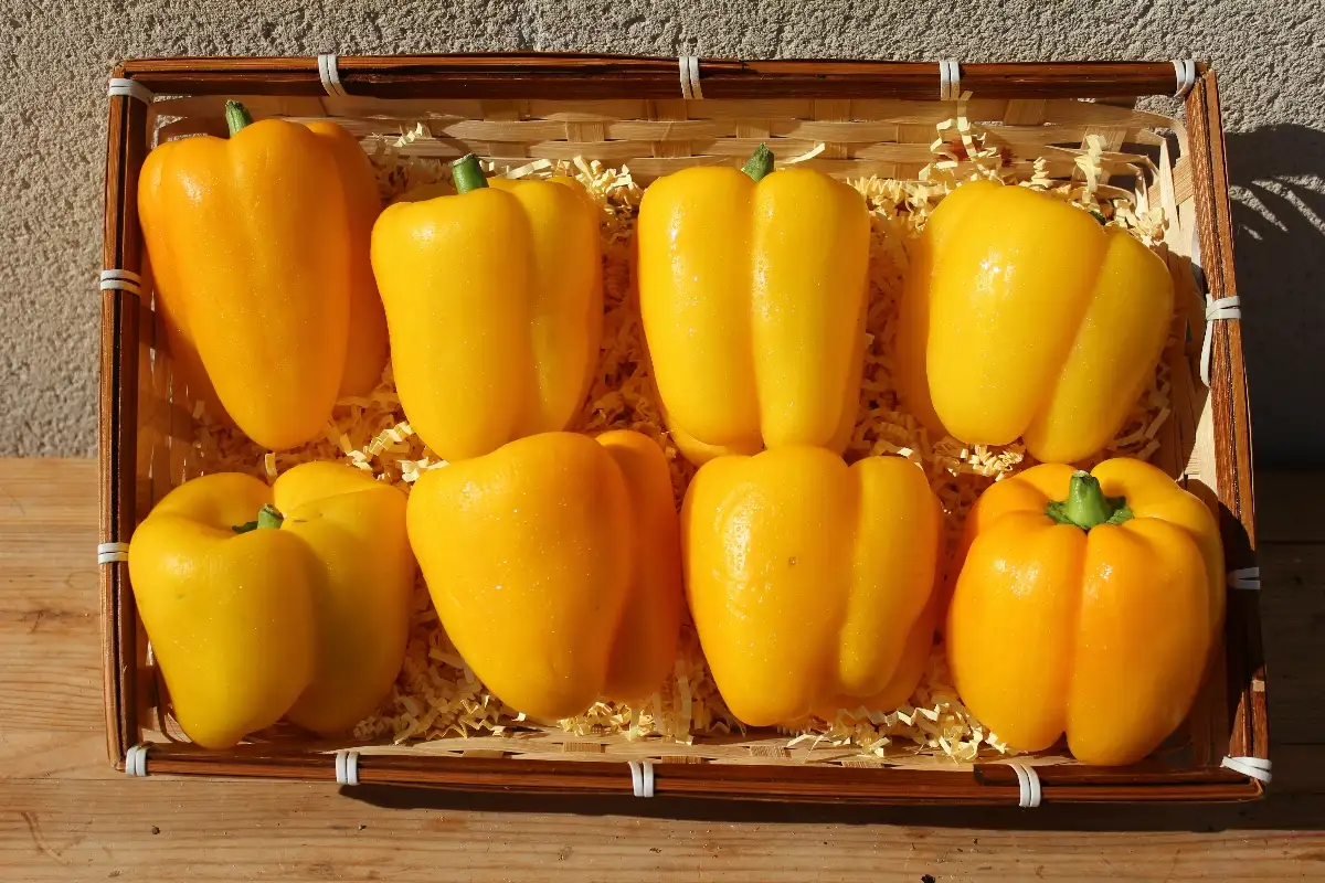 Poivrons Jaune 3.95€ le kilo