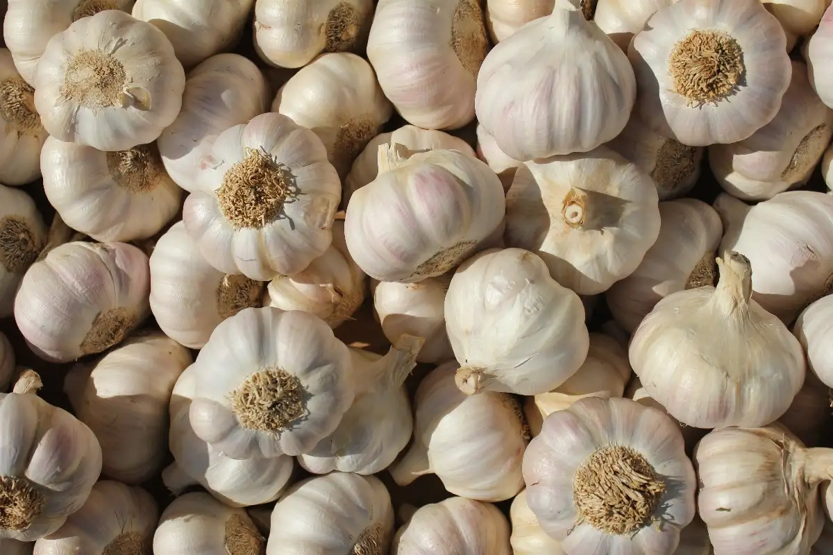 Ail rose 14.95€ le kilo