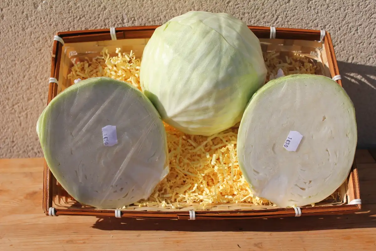 Choux Blanc ou Rouge