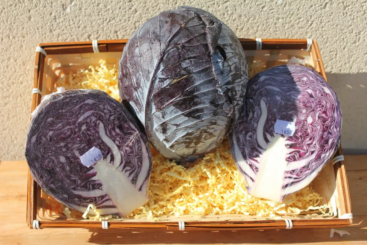 Choux Blanc ou Rouge