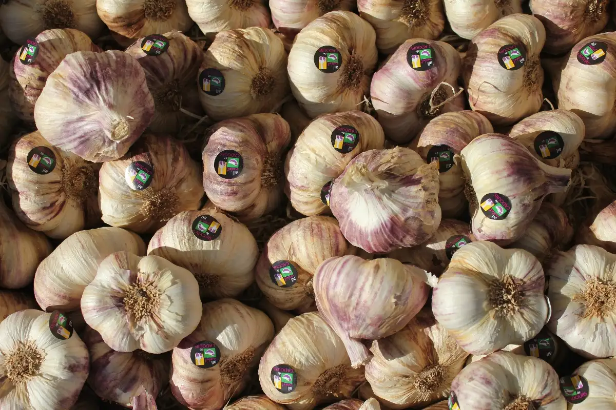 Ail violet 9.95€ le kilo