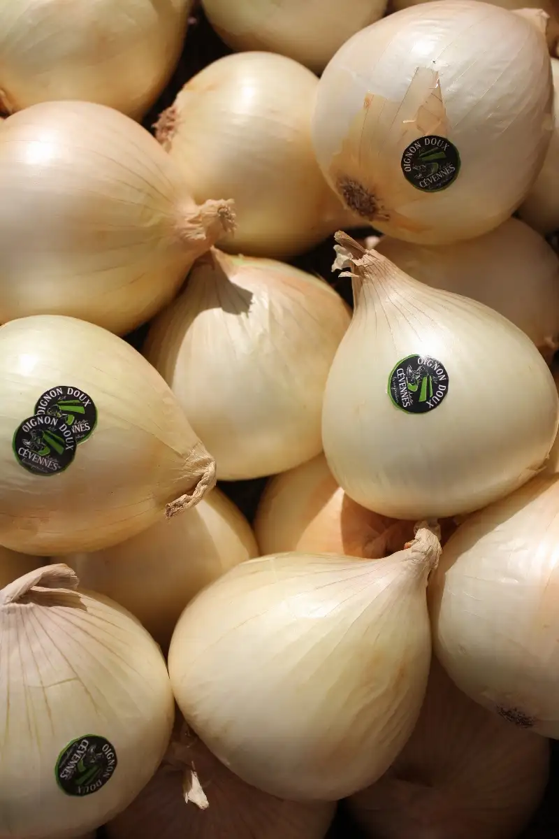 Oignons doux des cévennes 5.95€ le kilo