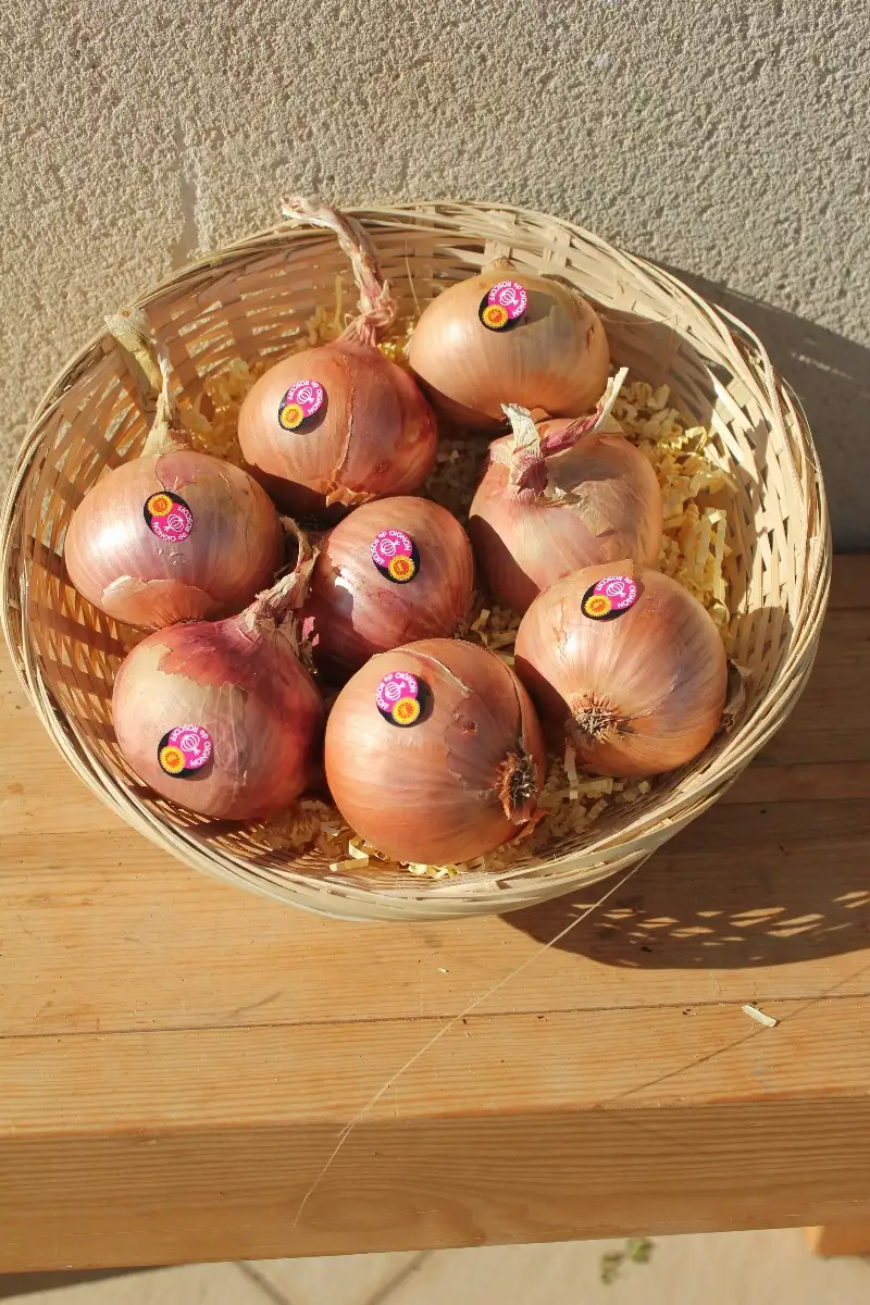 Oignon de Roscoff 4.95€ le kilo