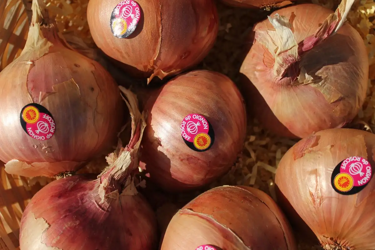 Oignon de Roscoff 4.95€ le kilo