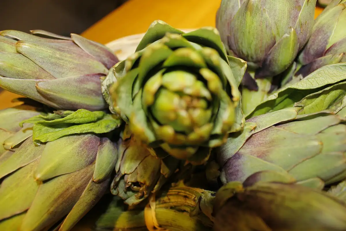 Artichaut bouquet