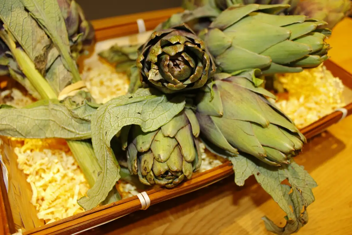 Artichaut bouquet
