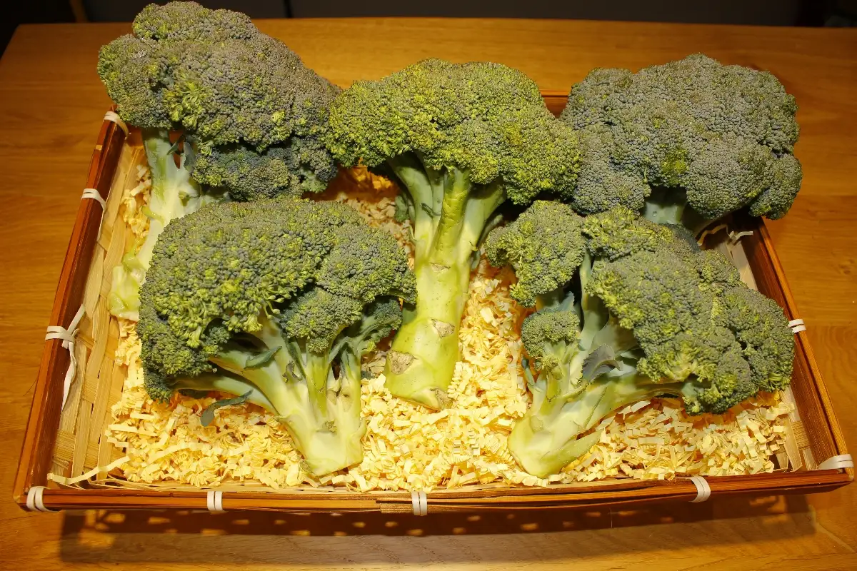 Brocolis 4.95€ le kilo