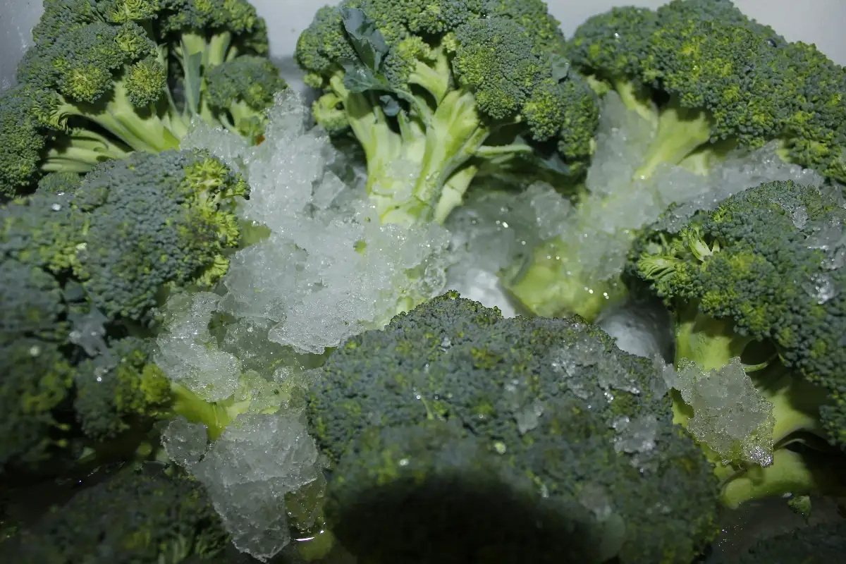 Brocolis 4.95€ le kilo