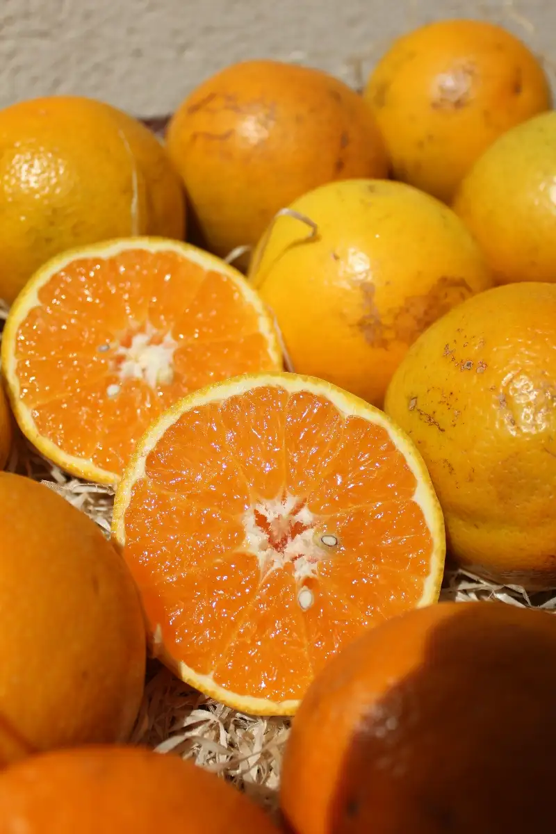 Oranges à jus 2,60€/kg