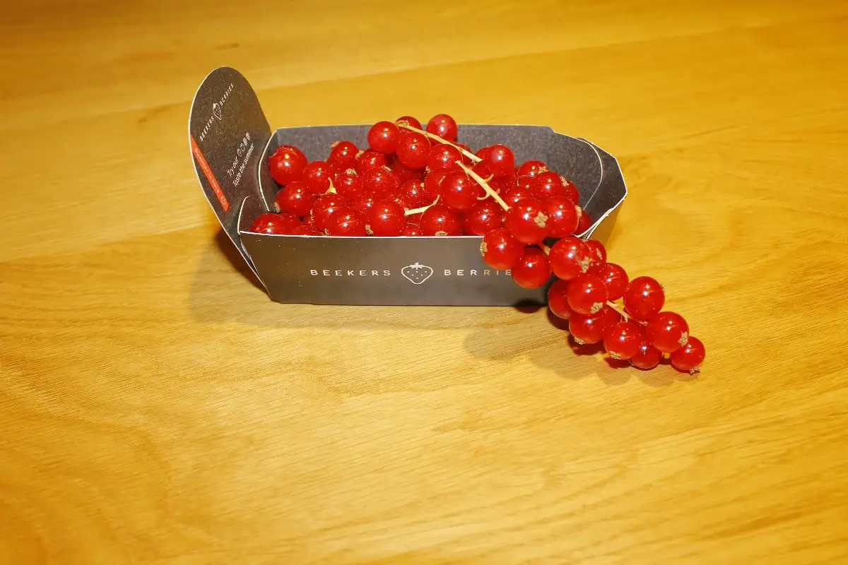 Groseilles barquette de 125g