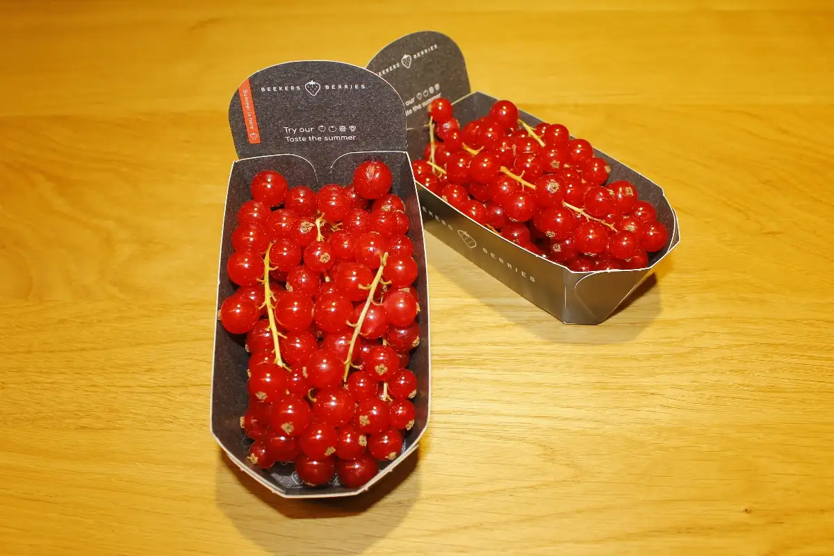 Groseilles barquette de 125g