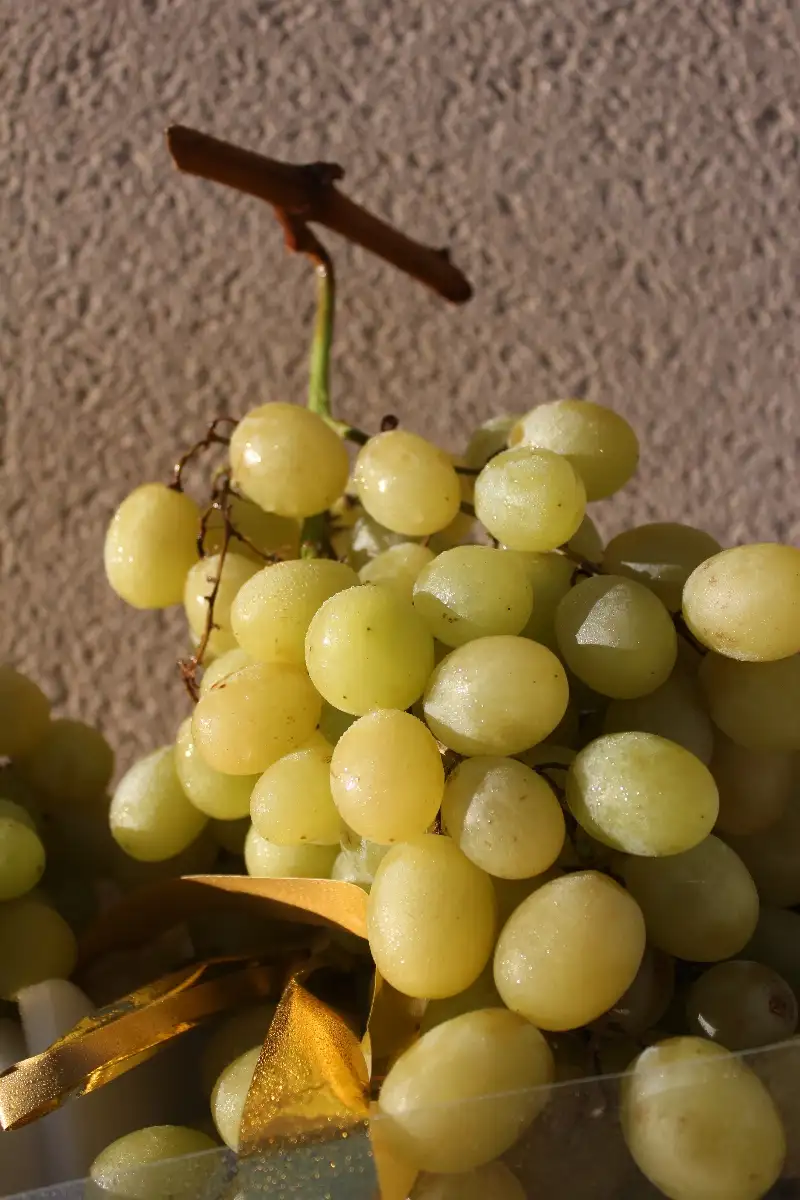 Raisin Italia 4.90€ le kilo