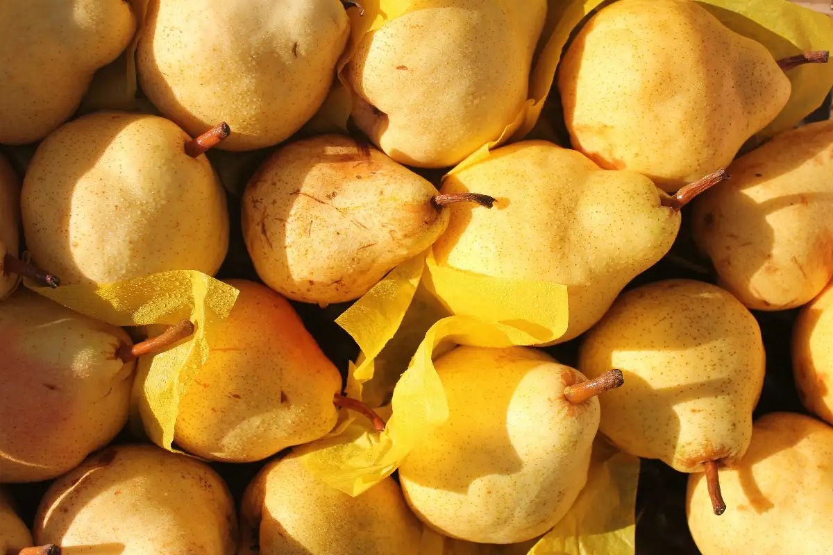 Poires Williams 2.90€ le kilo