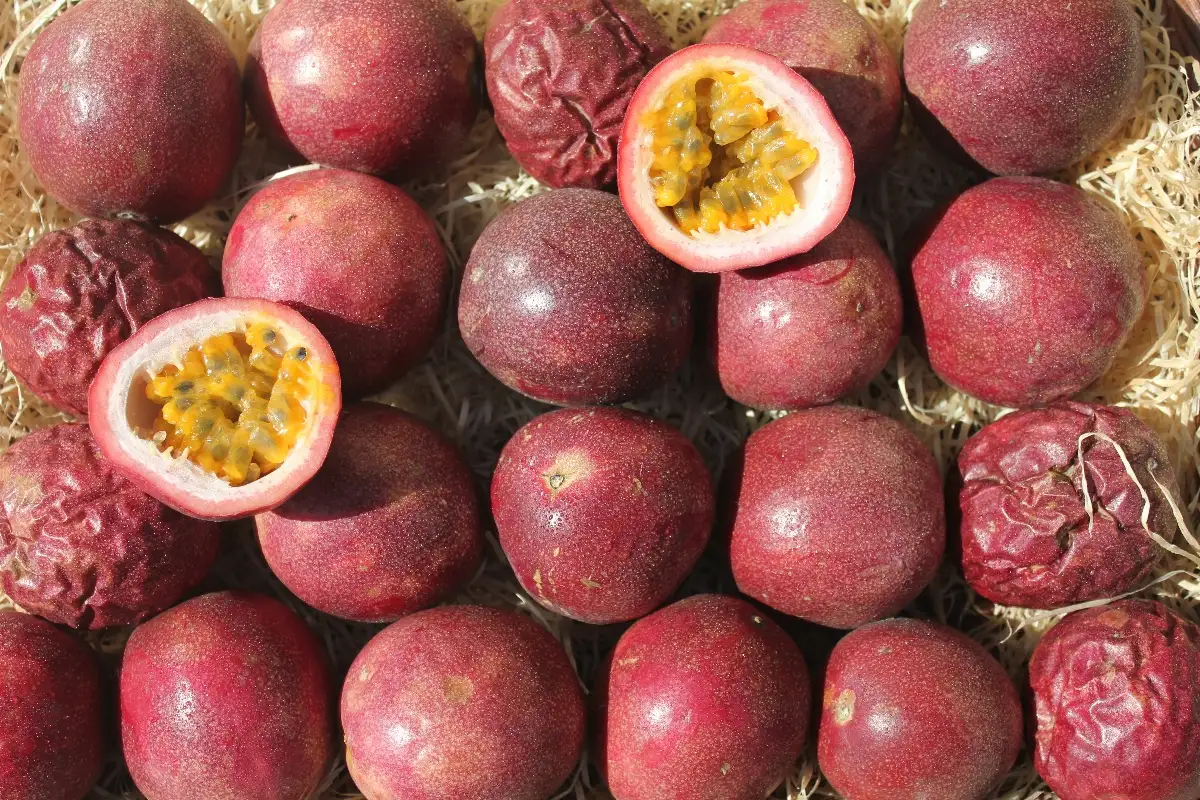 Fruits de la passion