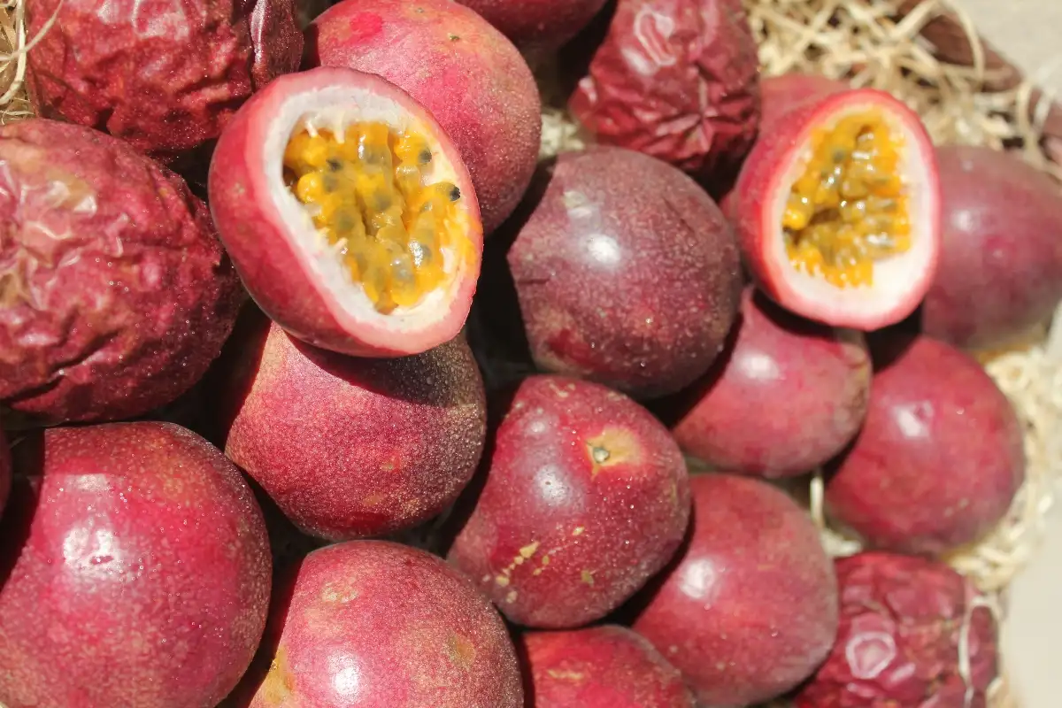 Fruits de la passion