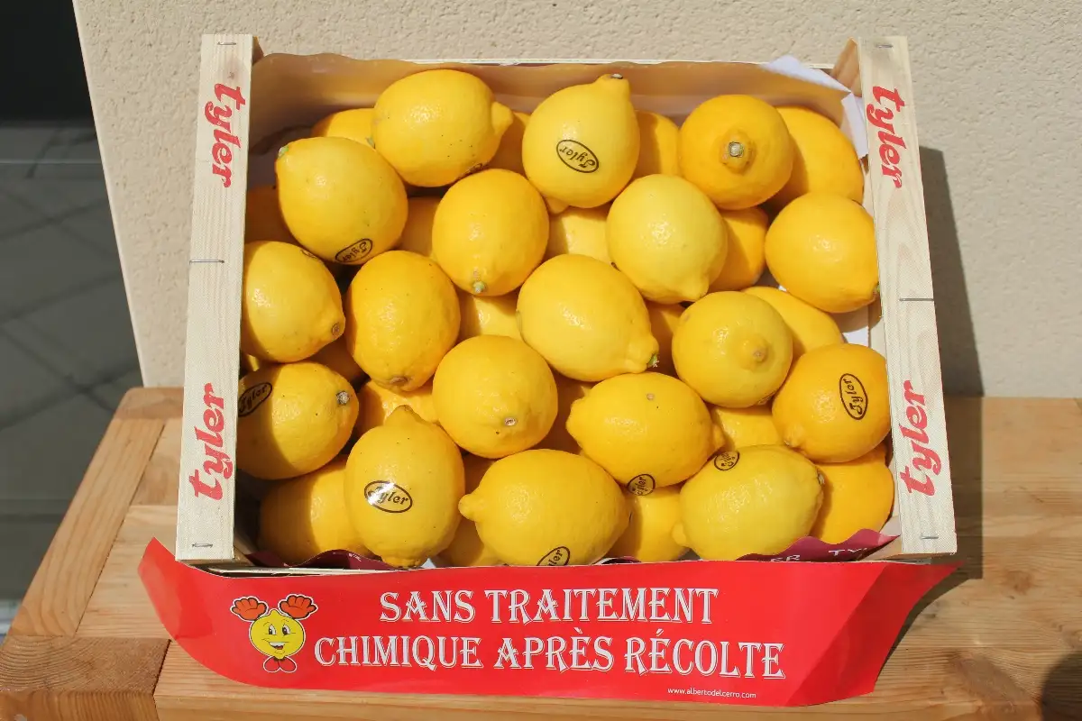 Citron Jaune 3.20€ le kilo
