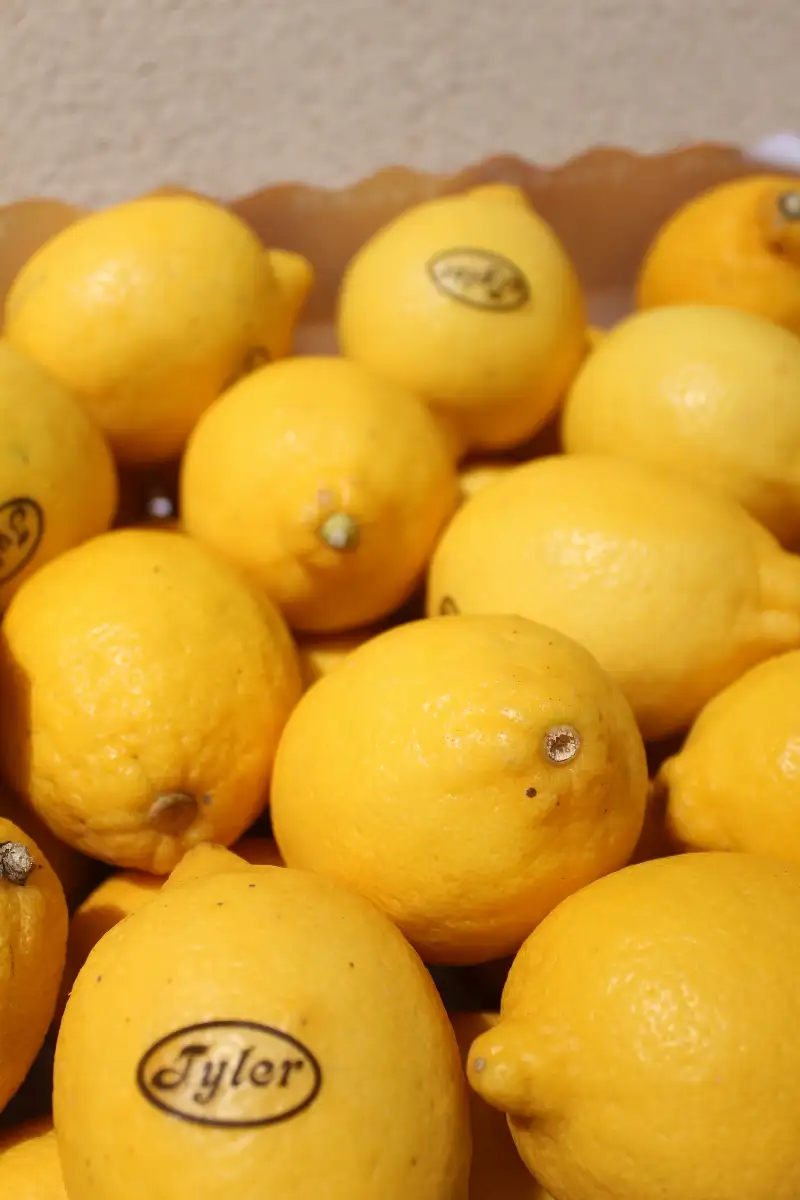 Citron Jaune 3.20€ le kilo