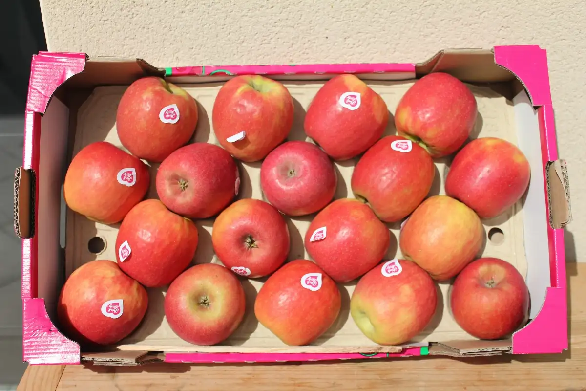 Pommes Pink Lady 4.50€ le kilo