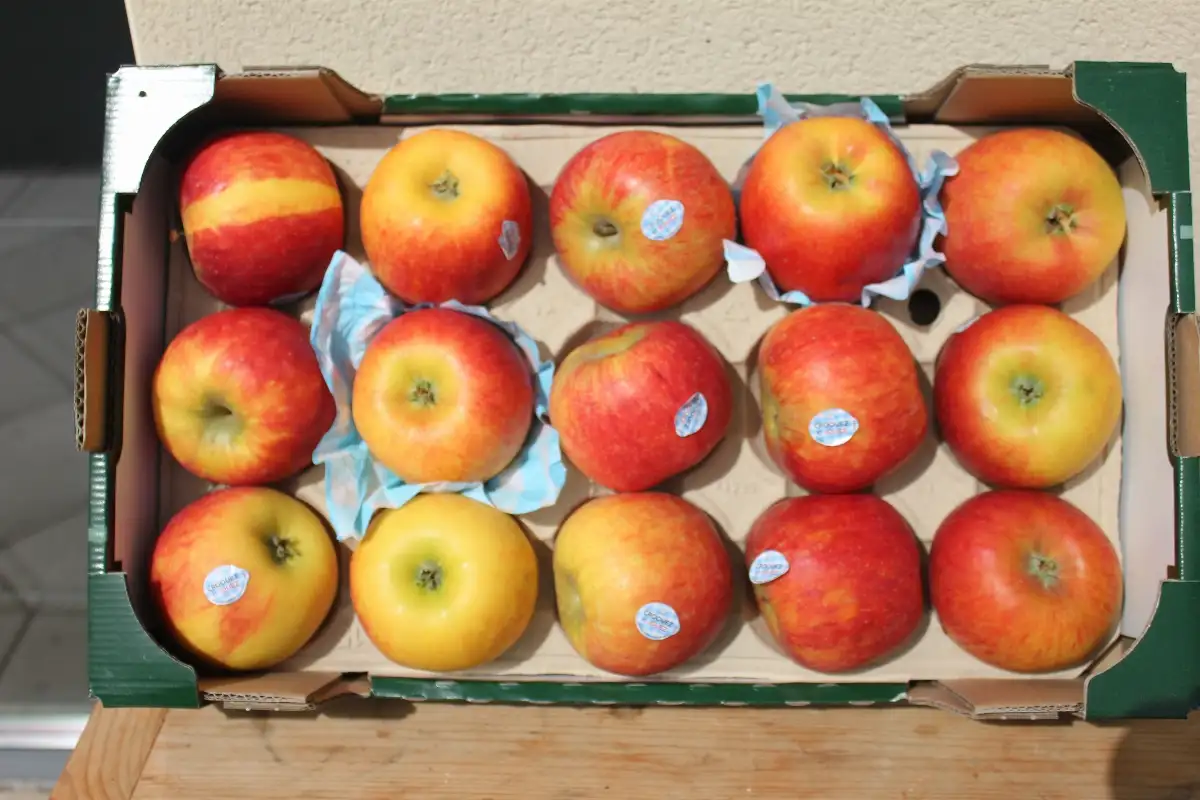 Pomme reine des reinettes 3.90€ le kilo