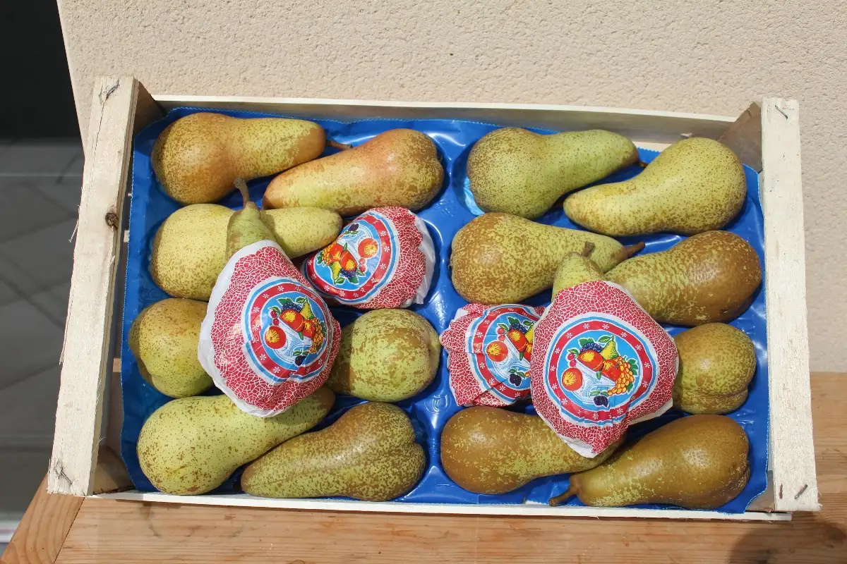 Poire Abate 3.90€ le kilo