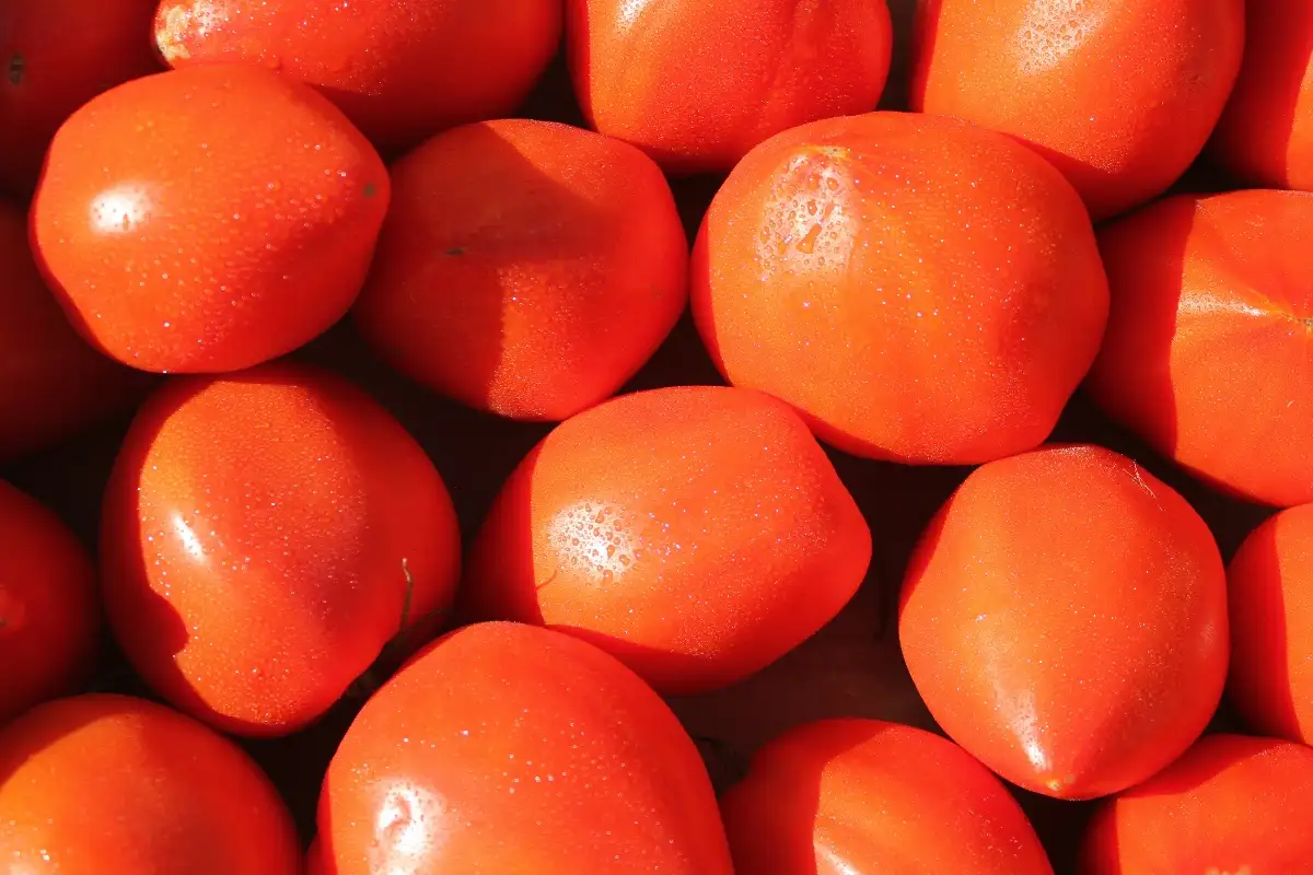 Tomates cœur de bœuf 4.95€ le kilo