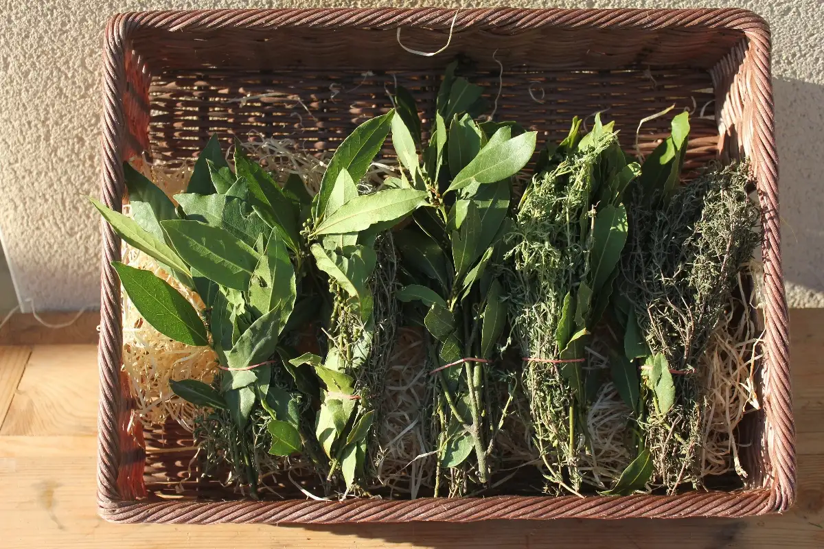 Bouquet Garni