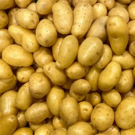 PDT Grenaille 3.90€